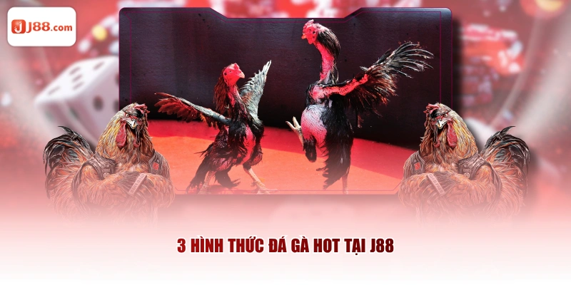 3 hình thức đá gà hot tại J88